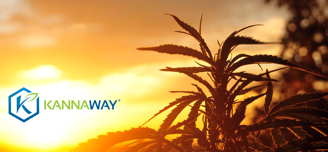 Medical Marijuana, Inc. Subsidiary Kannaway® Announces New Pure Gold Hemp CBD Oil With No Detectable THC