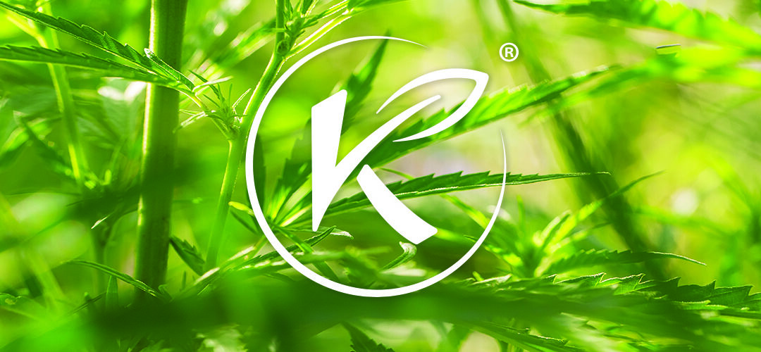 Medical Marijuana, Inc. Subsidiary Kannaway® Receives Two 2019 BIG Awards for Business