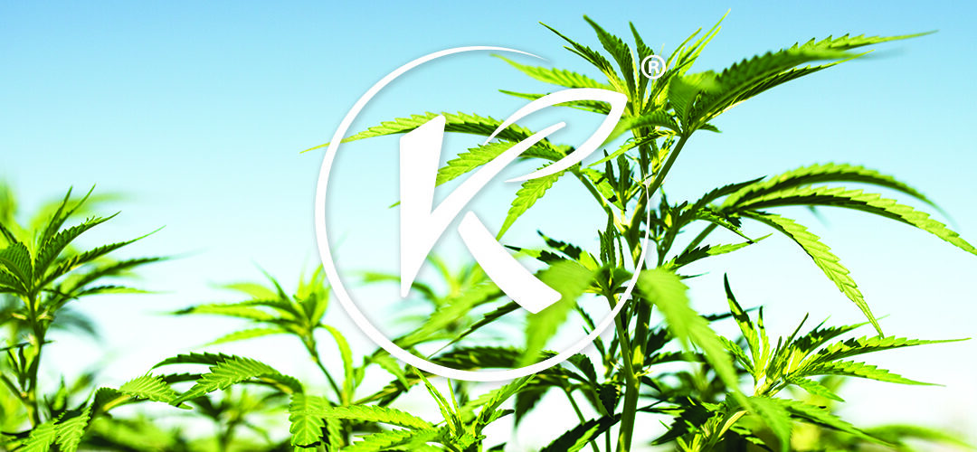 Medical Marijuana, Inc. Subsidiary Kannaway® Unveils Anticipated New Products in U.S. and Europe