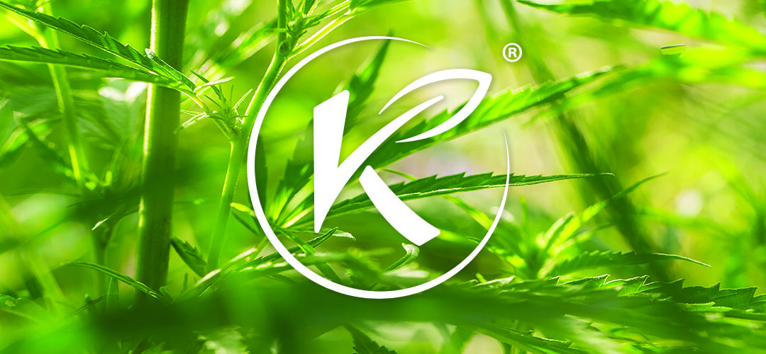 Medical Marijuana, Inc. Subsidiary Kannaway® Welcomes Distinguished Sales and Marketing Expert Carolyn Dielmann Connolly as Brand Ambassador