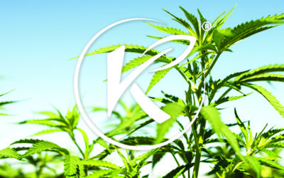 Medical Marijuana, Inc. Subsidiary Kannaway® Announces European Leadership & Product Launch Event in Prague
