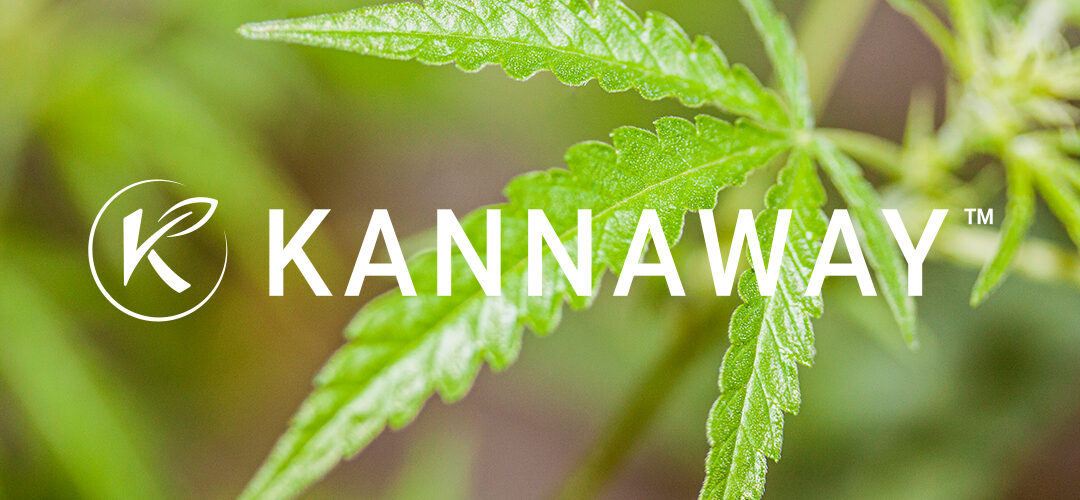 Medical Marijuana, Inc. Subsidiary Kannaway® Announces Positive Preliminary Results of Validcare Clinical Study on CBD Liver Toxicity