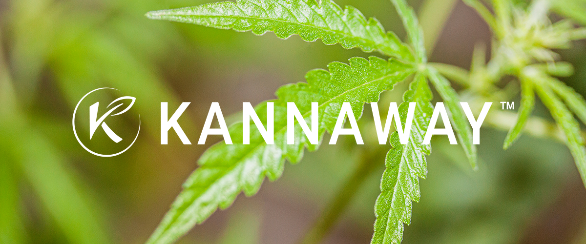 Medical Marijuana, Inc. Subsidiary Kannaway® Announces Positive Preliminary Results of Validcare Clinical Study on CBD Liver Toxicity