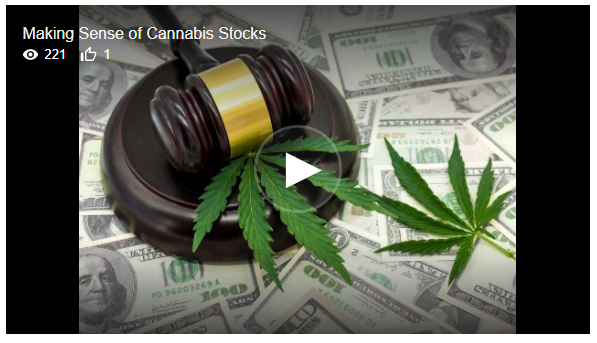 Blake Schroeder, MJNA CEO, Joins Executive Panel Discussing “Making Sense Of Cannabis Stocks”
